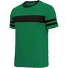 Green - 3 Striped Short Sleeve