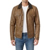 Camel With Dark Brown