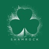 image:imageGreen St Patricks Day Shirt Women  Lets Get Lucky Charms Pattys Irish Saint Patricks Day OutfitsGreen  Shamrock St Patricks Shirt Womens